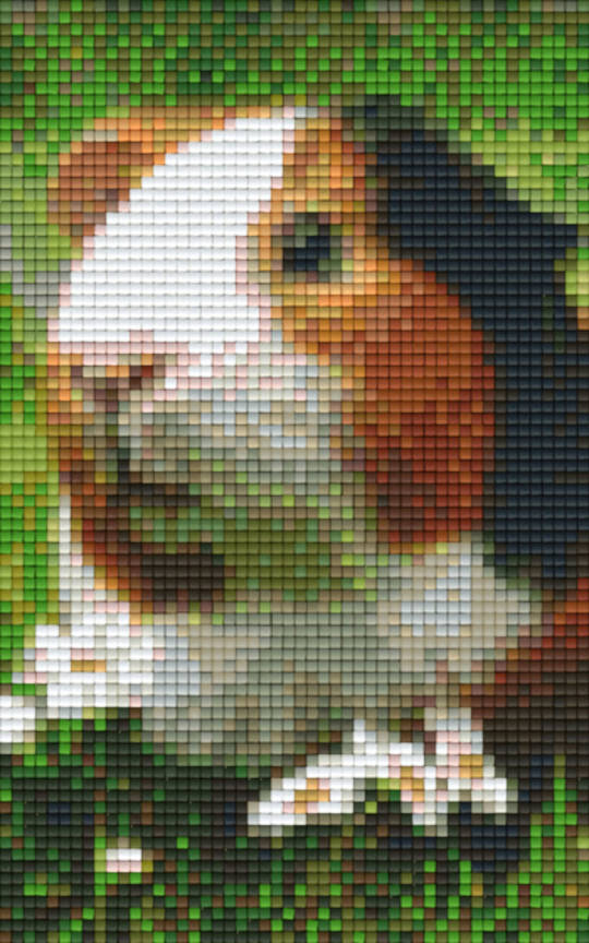 Guinea Pig Two [2] Baseplate PixelHobby Mini-mosaic Art Kit